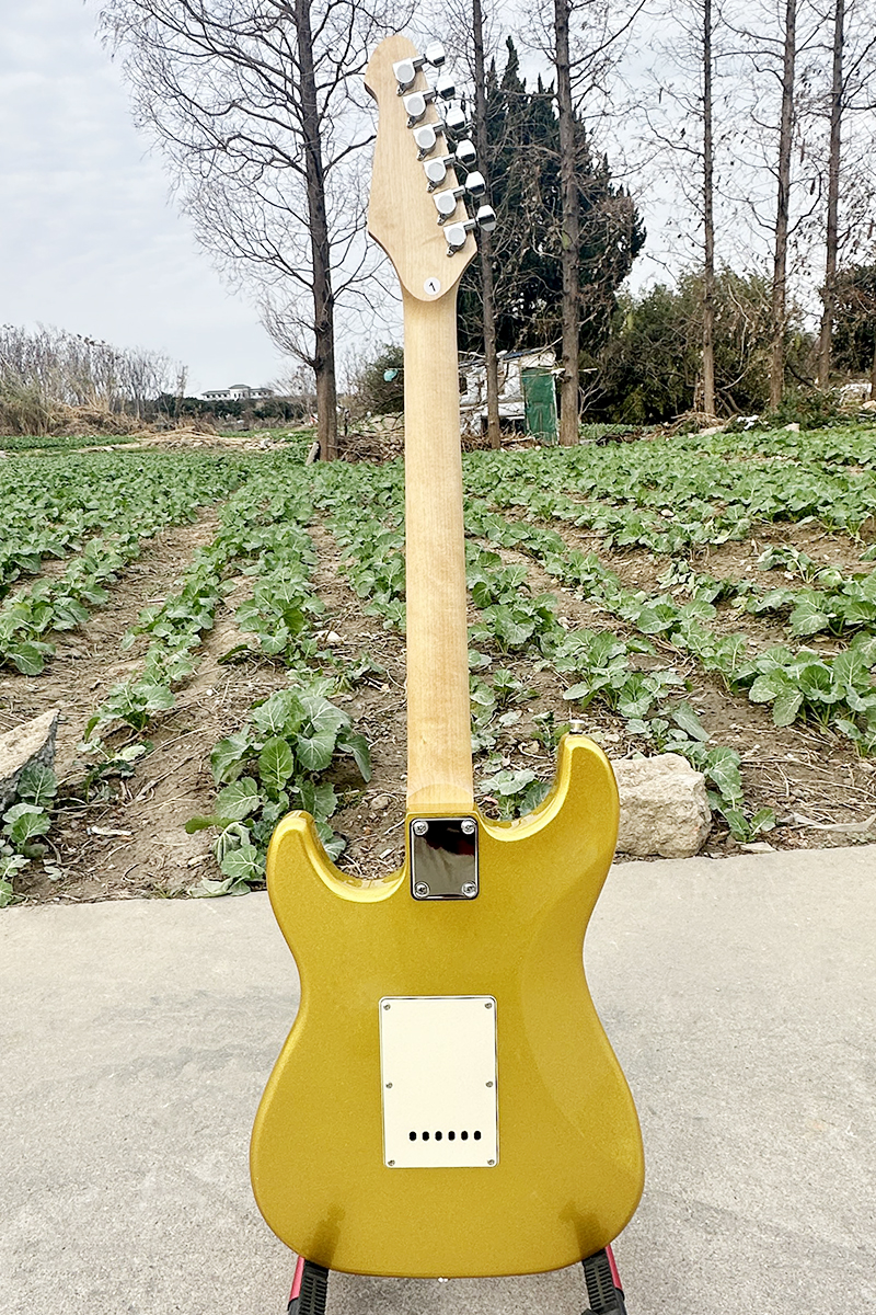 golden st electric guitar (3)